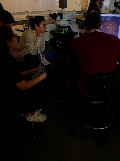 Analytical and Quantitative Light Microscopy 02