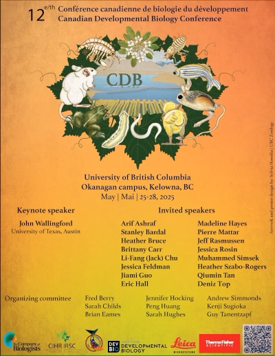 CDB2025 00